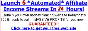launch your own money making site